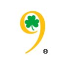 9 Irish Brothers Traditional Irish Pub