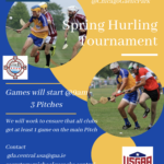 Chicago Hurling Tournament