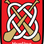 Naperville Hurling/Football Tournament