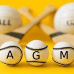 Annual General Meeting (AGM)